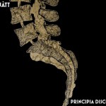 Malnàtt ‘Principia Discordia’ Album Review