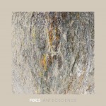 Review: F.O.E.S – Antecedence