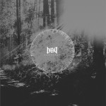 Review: Bait – Sunburst