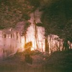 Review: Wren – Auburn Rule