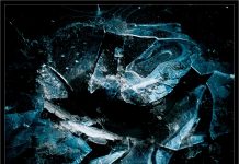 HAiG Freeze the World