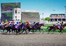 How to Bet on the Kentucky Derby
