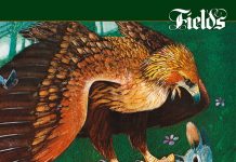 Fields – Feeling Free (2 CD set) Fields - Feeling Free