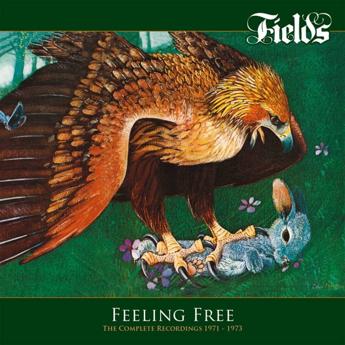 Fields - Feeling Free