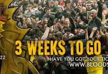 An ABC guide to Bloodstock – Letters A through I. For all you first-timers, worriers, anxiety fighters, and forgetful folk!