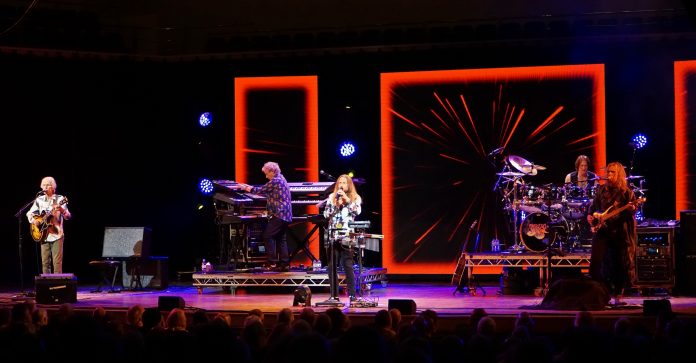 YES photo by Alina Salihbekova 0094