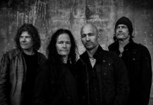 Stargazer promise Life Will Never Be The Same Stargazer