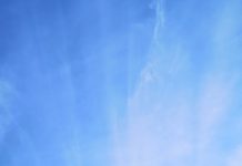 Following Picture Ann into a disorderly time of mourning Following Picture Ann