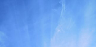 Following Picture Ann