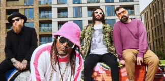 Skindred