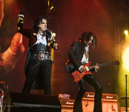 The Hollywood Vampires