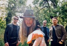 The Answer’s Wild Heart