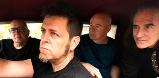 Pattern-Seeking Animals