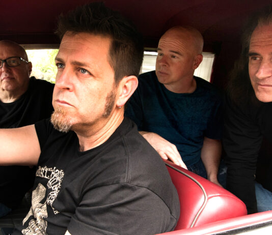 Pattern-Seeking Animals