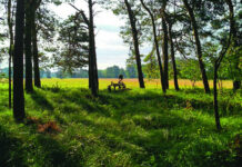 Picture Ann delves into local Danish history on new EP Picture Ann