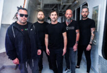 10 Years & No Light, No Light