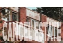 Sunflower Shadows Over Seething Akira