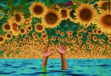 DELLA NOVA Debut December