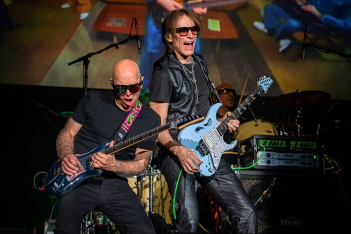 satchvai-press-jon-luini