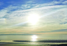 Picture Ann are Descending Upon Ruins Again Picture Ann