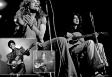 The Blues: The Artists Who Paved the Way for Rock Music Led Zeplin, Sister Rosetta Tharpe, Robert Johnso