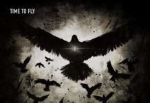 Catfish – Time to Fly Catfish - Time to Fly