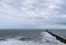 Picture Ann | From the Windswept Shore of Tynemouth