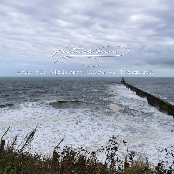 Picture Ann | From the Windswept Shore of Tynemouth Picture Ann | From the Windswept Shore of Tynemouth