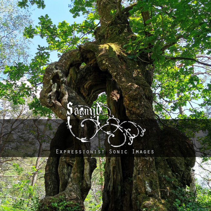 Caught In The Slipstream World Of Sagntid