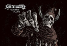 Narrenwind Cover Maanam