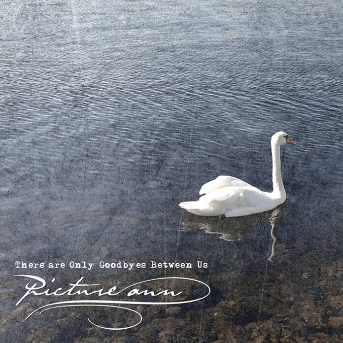 Picture Ann Picture Ann