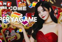 The New Life of Peryagame on GameZone
