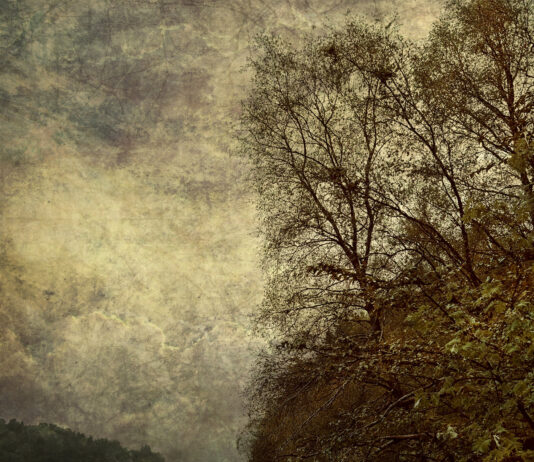 Vornoff Release Lost Dungeon Synth Archives Alsdybet Vornoff