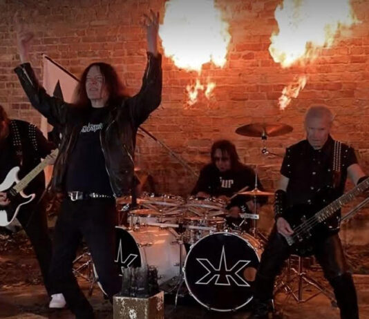 Lion’s Share Return in 2026