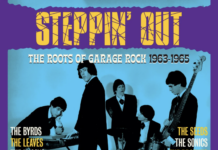 Steepin’ Out Review: Unearthing 60s Gems Steepin' Out