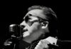 The Damned