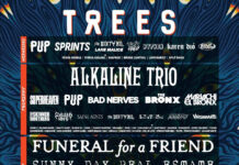 2000trees Festival
