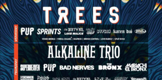 2000trees Festival