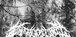 Entropic Rot
