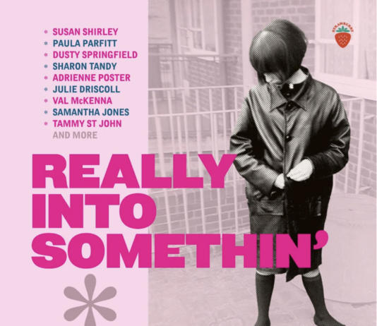 Really Into Something: Brit girl sounds and styles 1962-70