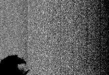 Mass Hallucination