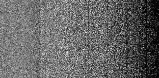 Mass Hallucination