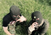 Craic Killers