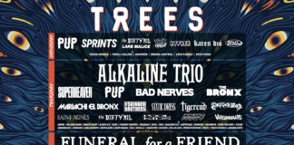 2000trees Festival