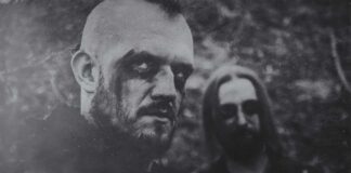 Piołun