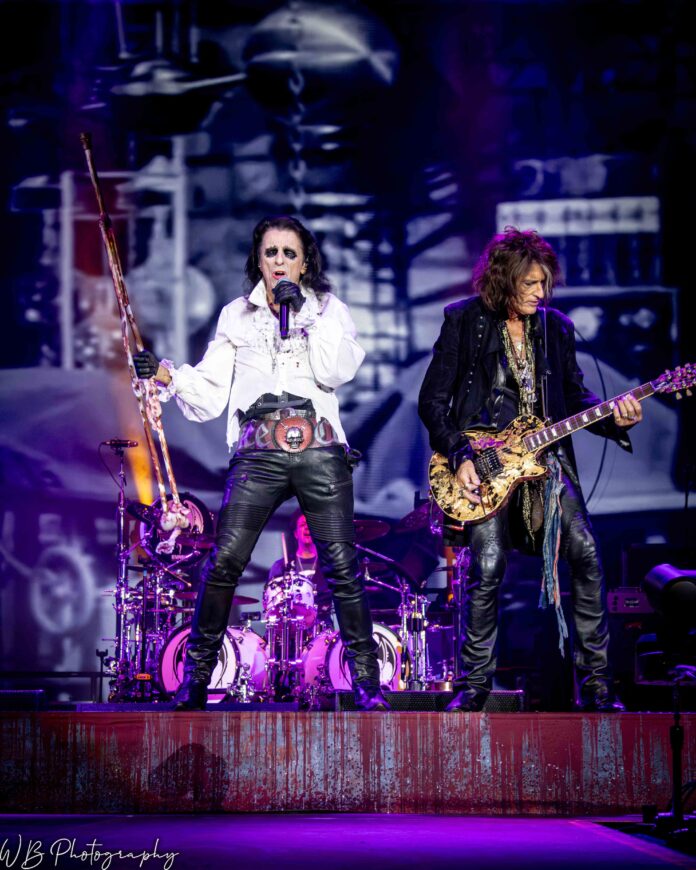 Hollywood Vampires
