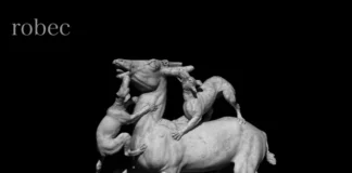 ROBEC – Modular Session I – Actaeon