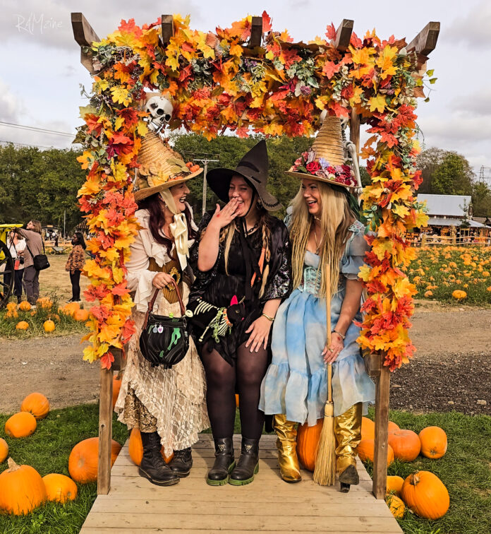 Tulleys Pumpkin Festival